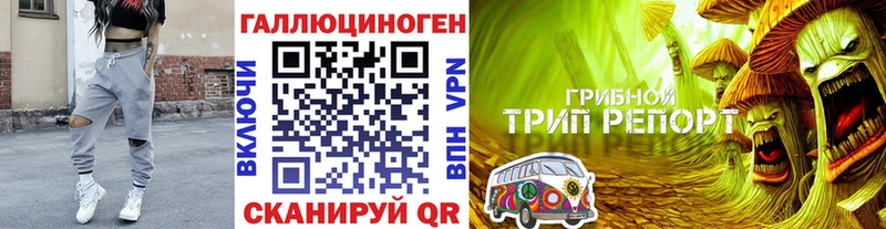 Галлюциногенные грибы мухоморы  Лахденпохья 